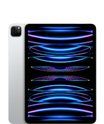 iPad Pro 11 pouces (4ᵉ génération)